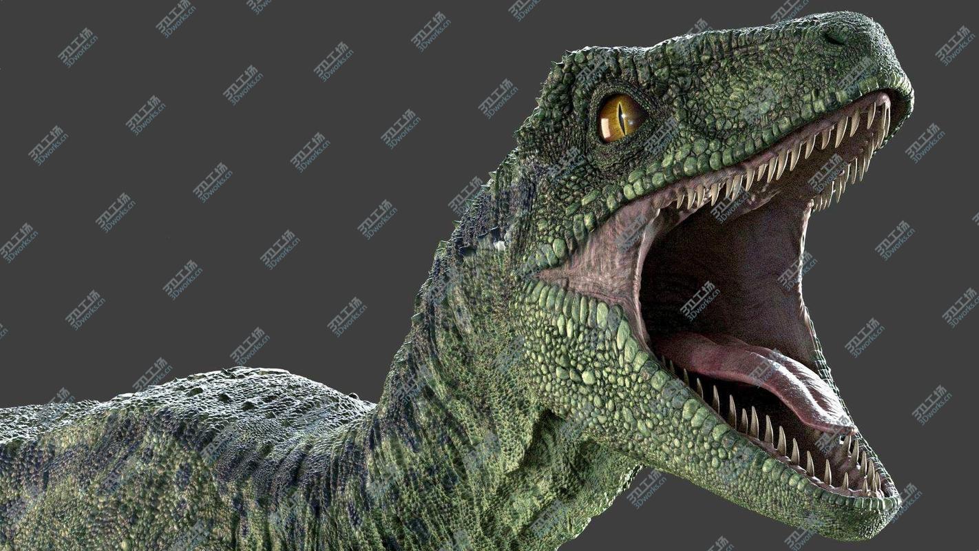 images/goods_img/202104091/Raptor Maya Rig 3D/2.jpg